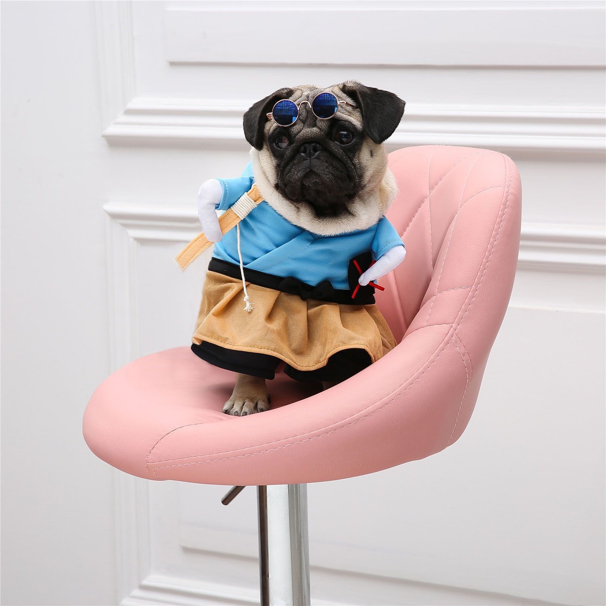 Pet Halloween Costume