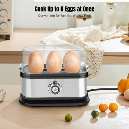 Mini Electric Egg Cooker