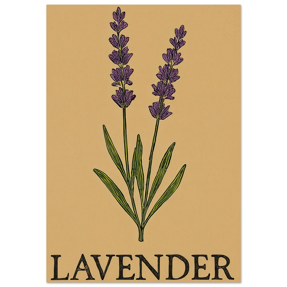 Frukter Lavendel Botanisk Illustration Affisch - Ljus & Livfull Väggkonst i Olika Storlekar