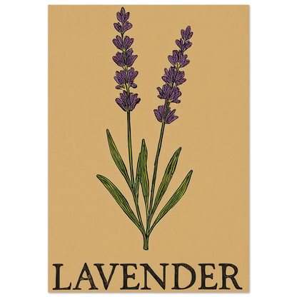 Frukter Lavendel Botanisk Illustration Affisch - Ljus & Livfull Väggkonst i Olika Storlekar