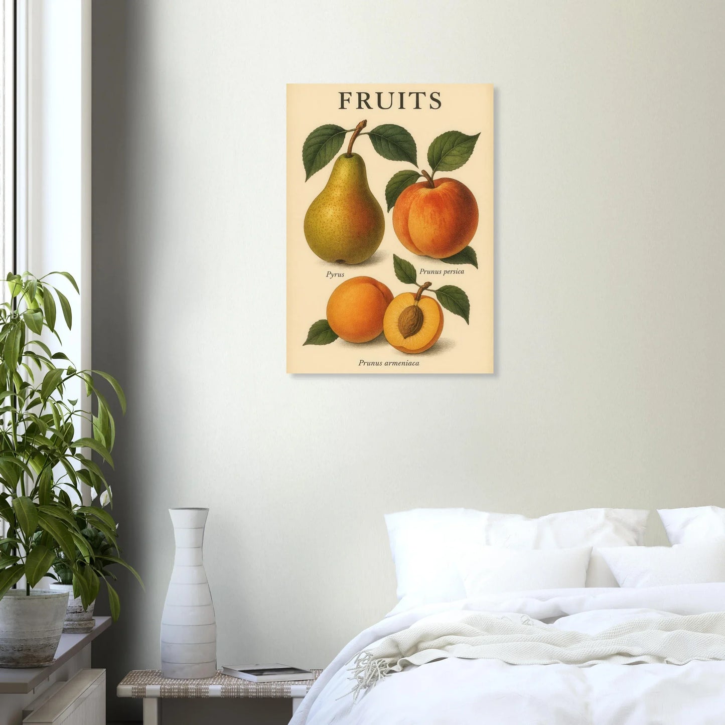 Frukter – Botanisk Vintage Frukt Illustration Poster – Klassisk Konsttryck i Flera Storlekar