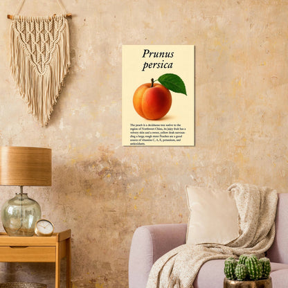 Frukter: Fresh Peach Botanical Art Print – Vibrant & Velvety 'Prunus persica' Poster in Your Choice of Sizes