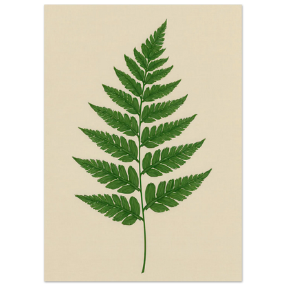 Frukter – Lush Green Fern Botanical Print | Premium Matte Wall Art in Various Sizes
