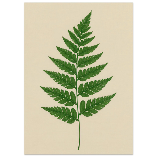 Frukter – Lush Green Fern Botanical Print | Premium Matte Wall Art in Various Sizes