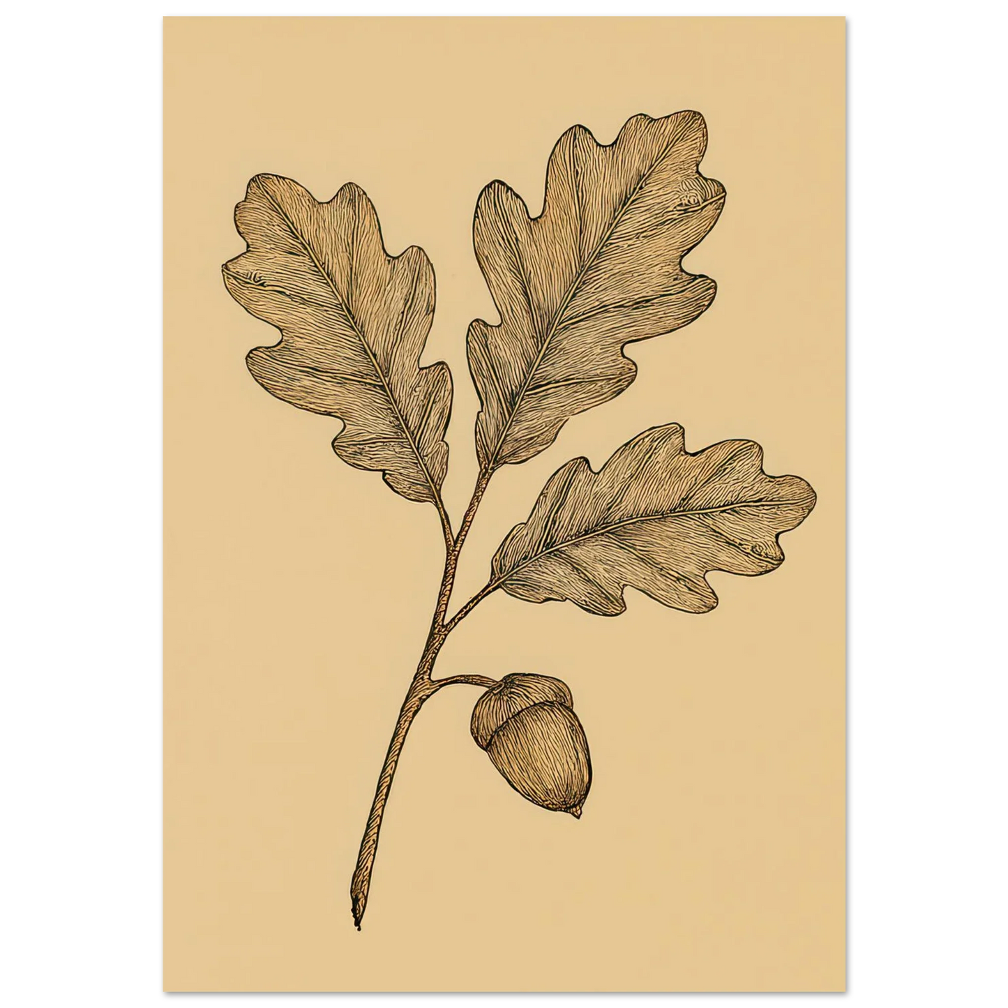 Frukter Oak Leaf & Acorn Botanical Art Print – Timeless Nature-Inspired Wall Decor in Various Sizes