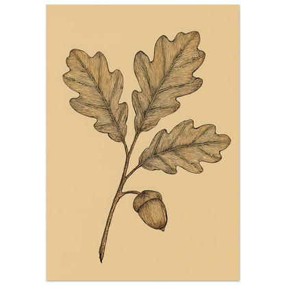 Frukter Oak Leaf & Acorn Botanical Art Print – Timeless Nature-Inspired Wall Decor in Various Sizes