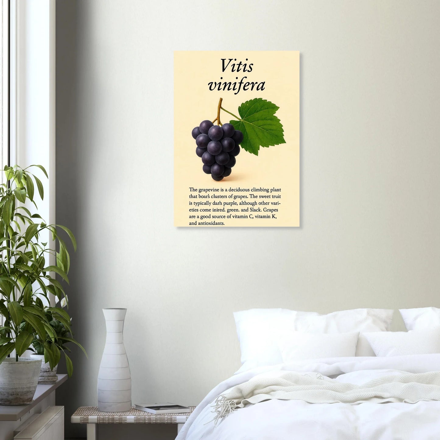 Frukter Vitis Vinifera Poster - Botanisk Druvkonsttryck på Premium Halvblankt Papper