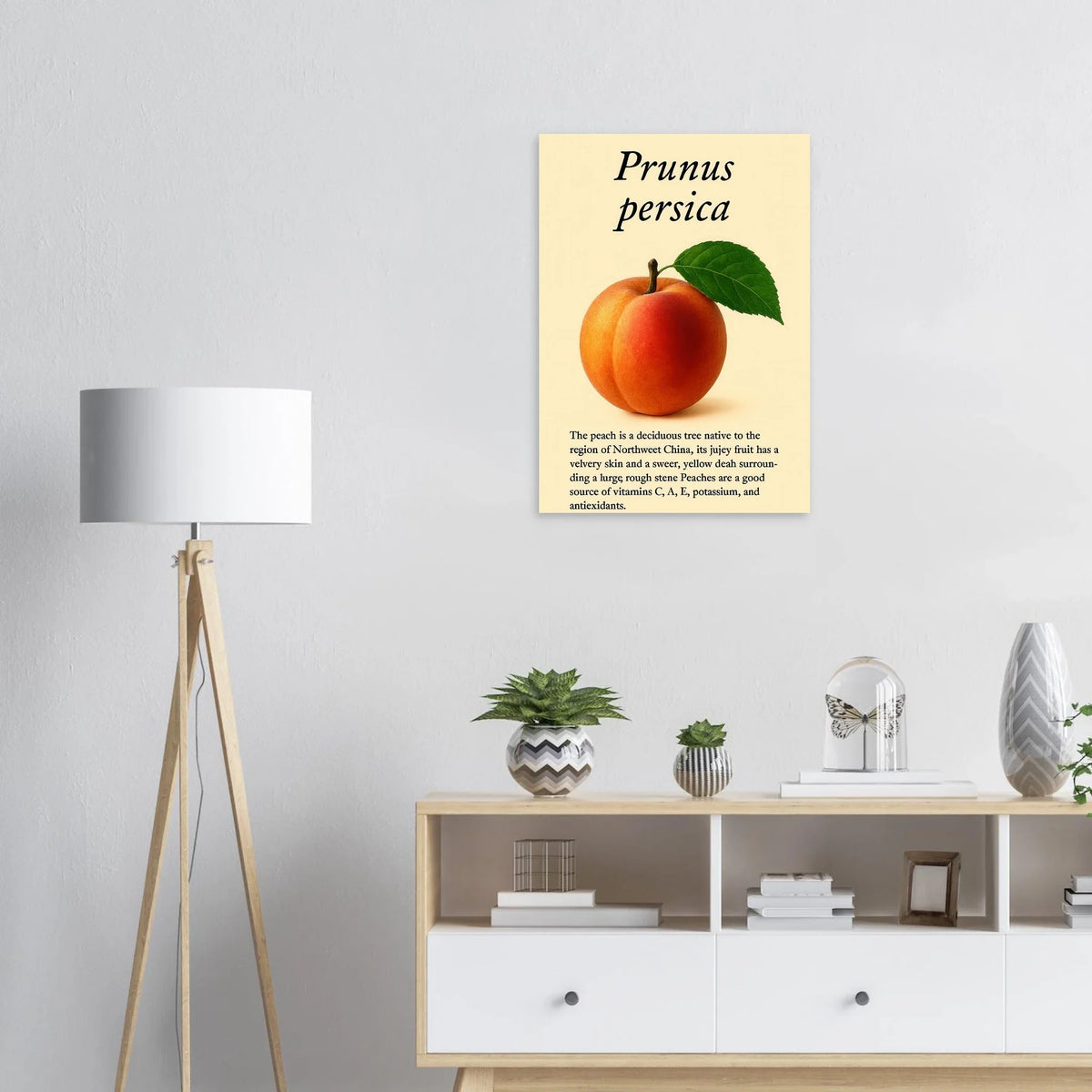 Frukter: Fresh Peach Botanical Art Print – Vibrant & Velvety 'Prunus persica' Poster in Your Choice of Sizes