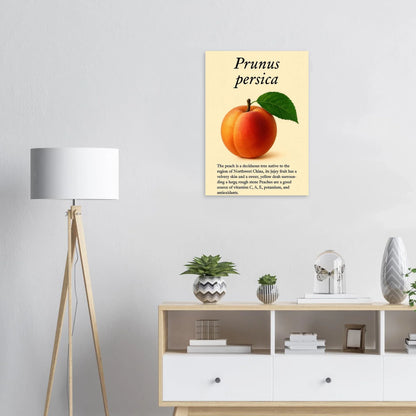 Frukter: Fresh Peach Botanical Art Print – Vibrant & Velvety 'Prunus persica' Poster in Your Choice of Sizes