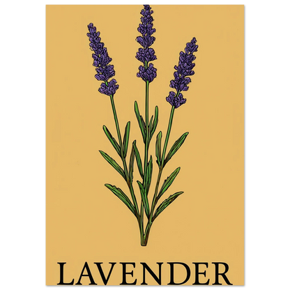 Frukter Lavender Botanical Art Print – Classic Halvblankt Poster for a Touch of Serenity