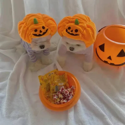 Plush Pumpkin Pet Hat