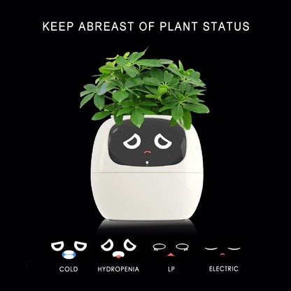 Smart liten blomkruka