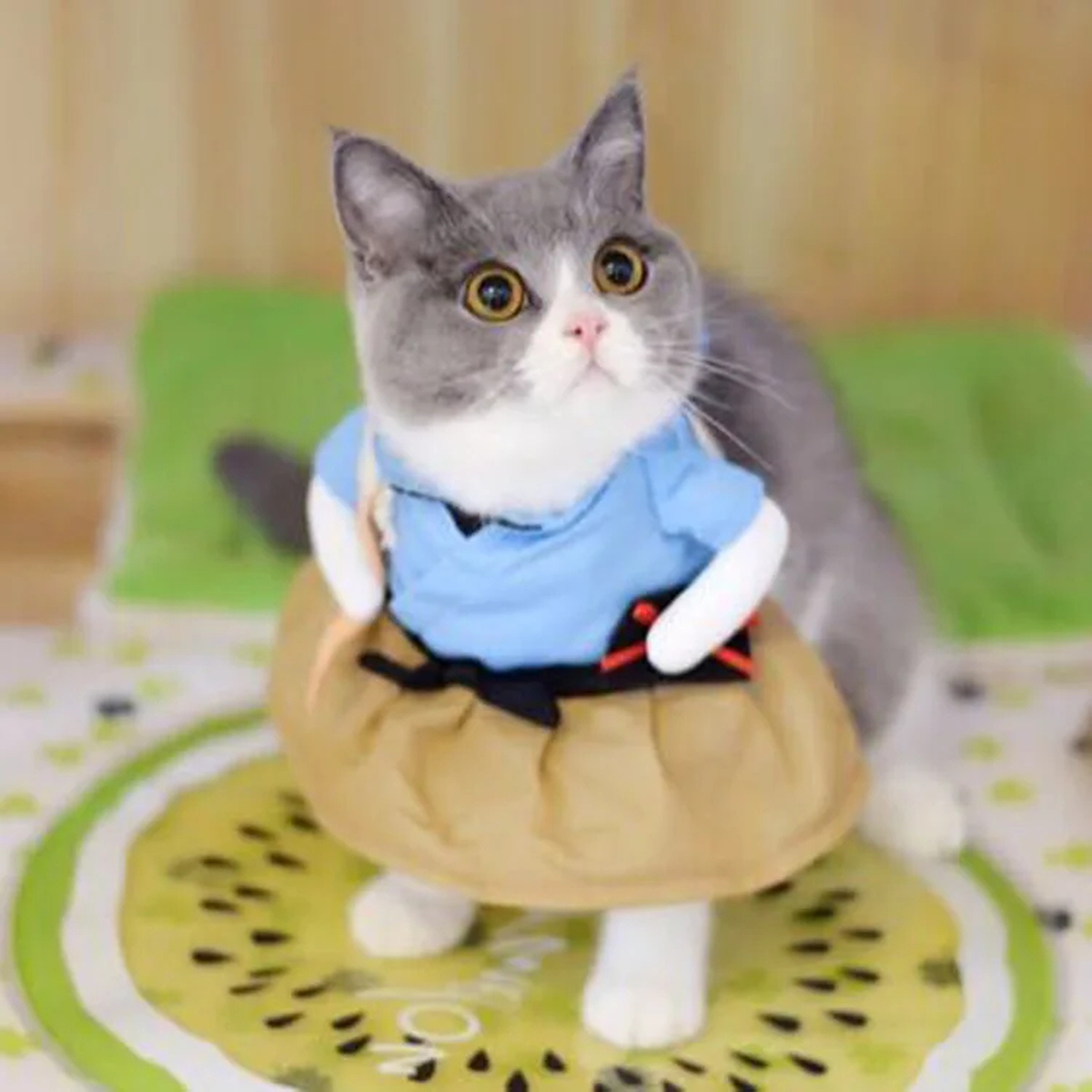 Pet Halloween Costume