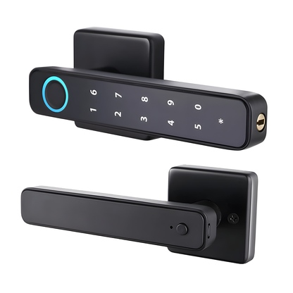 Fingerprint Lever Door Handle with Key Backup