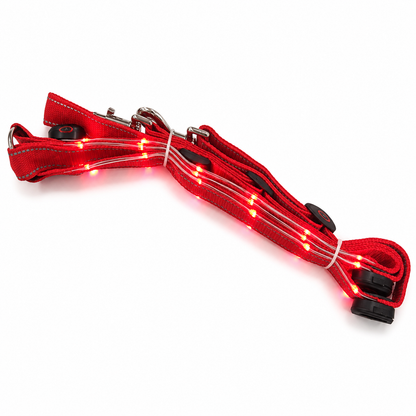 LED Horse Breastplate
