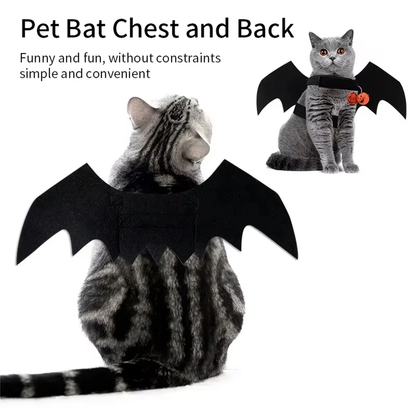 Pet Bat Wings