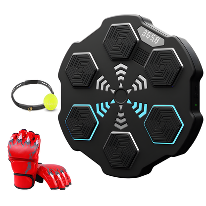 Kids Bluetooth Boxing Target