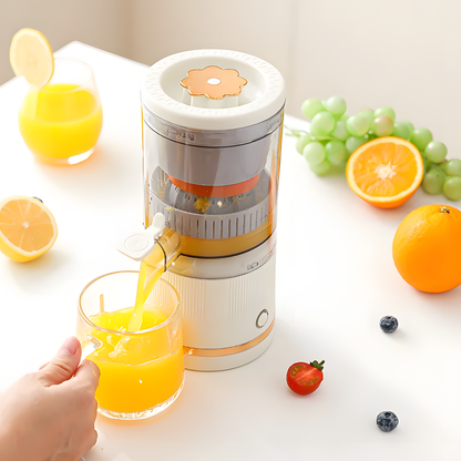 Mini Juicer Blender