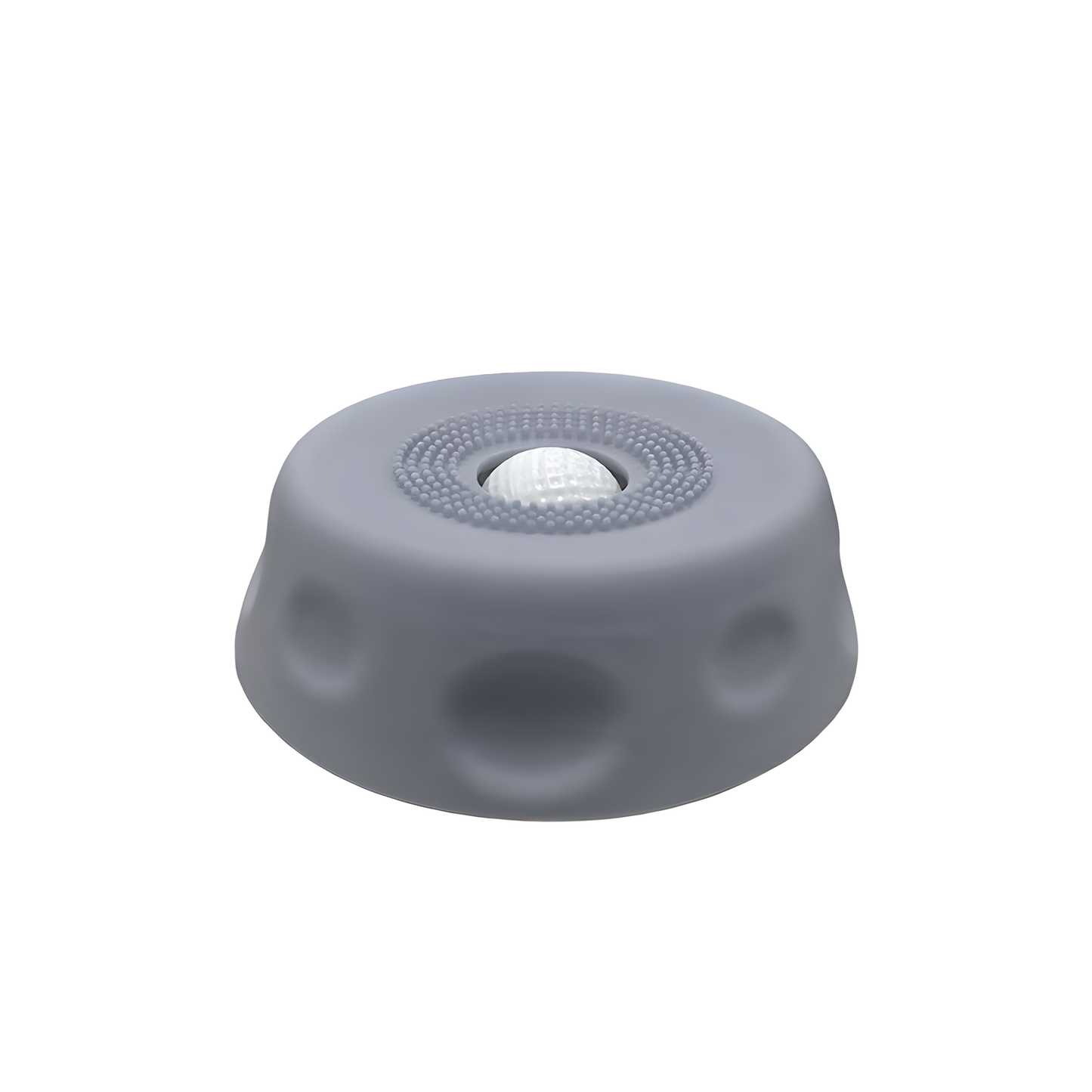 Slow Feeder Pet Bowl