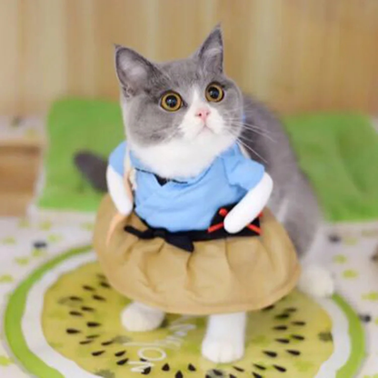 Pet Halloween Costume