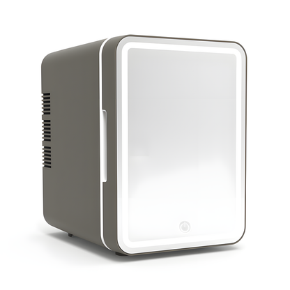 6 L Mirror Car Fridge
