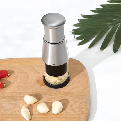 Stainless Steel Garlic Crusher
