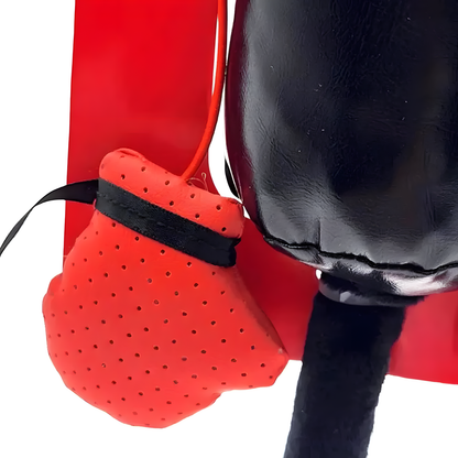 Interactive Cat Boxing Toy