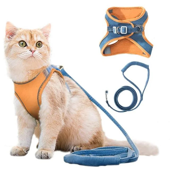 Kattvästsele koppel set