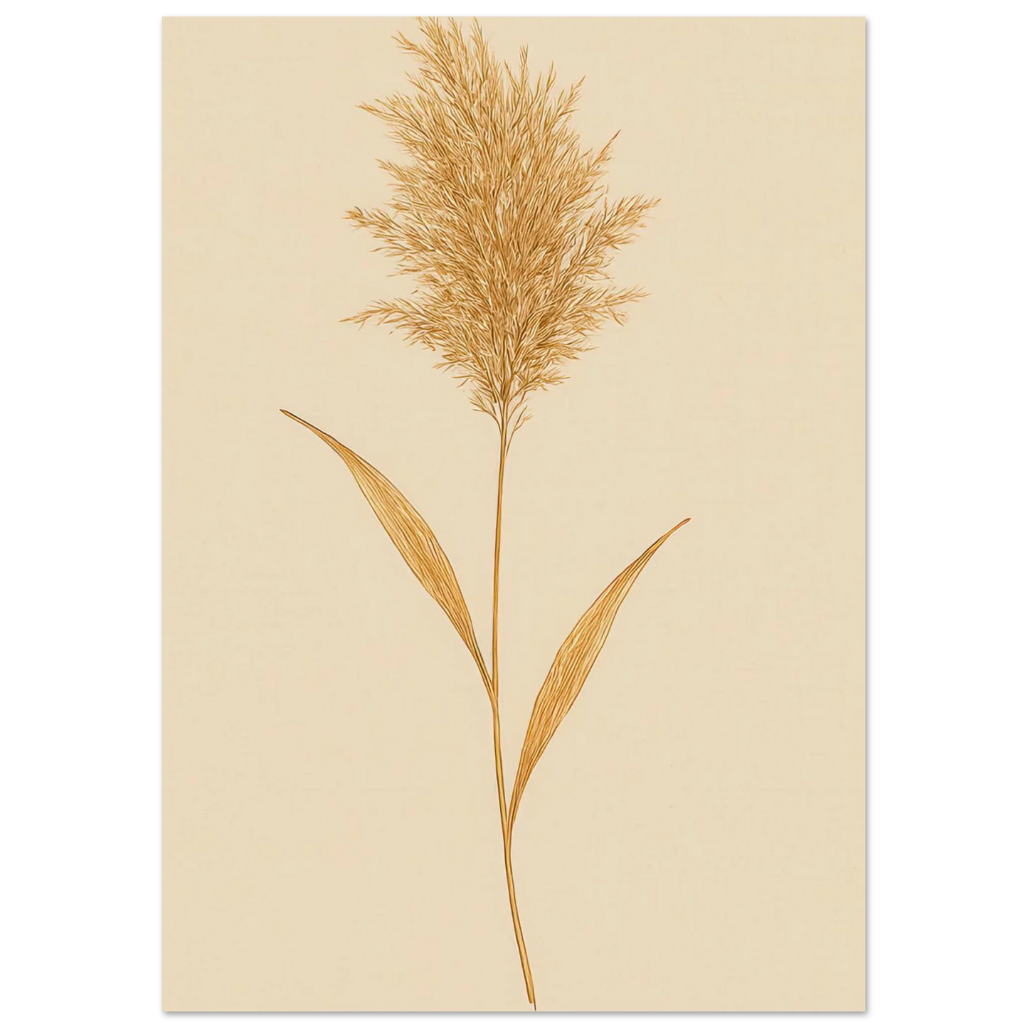 Frukter – Elegant Pampasgräs Botanisk Affisch i Jordnära Toner, Premium Halvblankt Papper