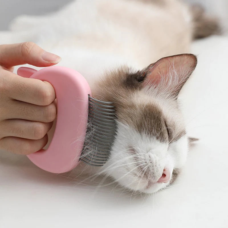 Kattpälsvård och massagekam
