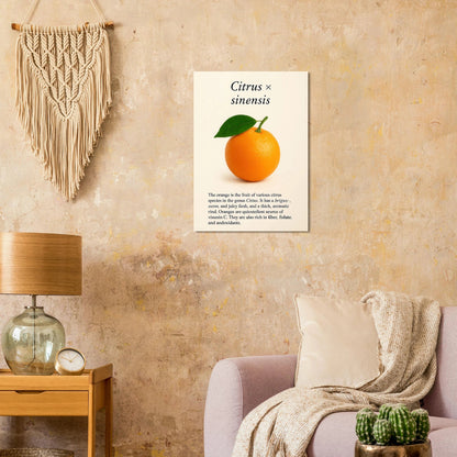 Frukter: Levande Apelsin Botanisk Konsttryck – Premium Halvblank Poster i Flera Storlekar