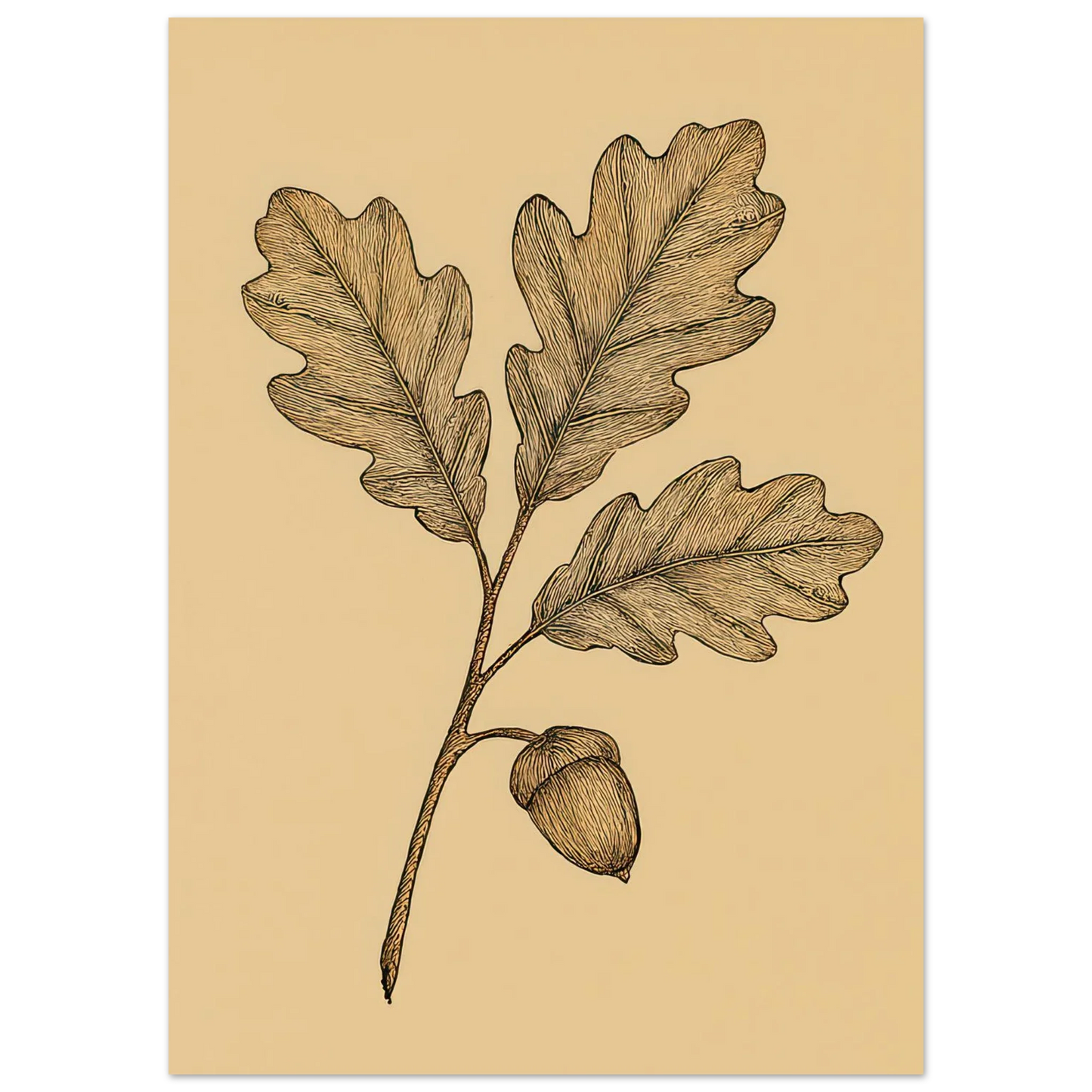 Frukter Oak Leaf & Acorn Botanical Art Print – Timeless Nature-Inspired Wall Decor in Various Sizes