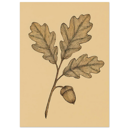 Frukter Oak Leaf & Acorn Botanical Art Print – Timeless Nature-Inspired Wall Decor in Various Sizes