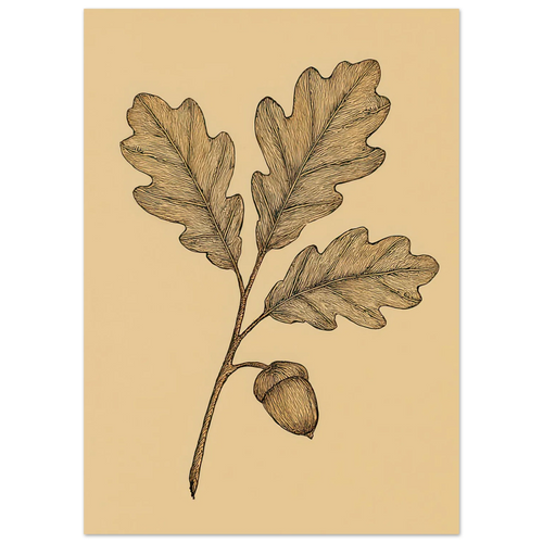 Frukter Oak Leaf & Acorn Botanical Art Print – Timeless Nature-Inspired Wall Decor in Various Sizes