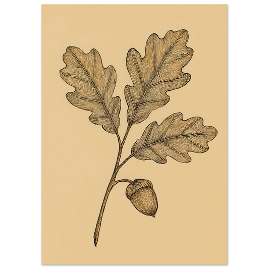 Frukter Oak Leaf & Acorn Botanical Art Print – Timeless Nature-Inspired Wall Decor in Various Sizes