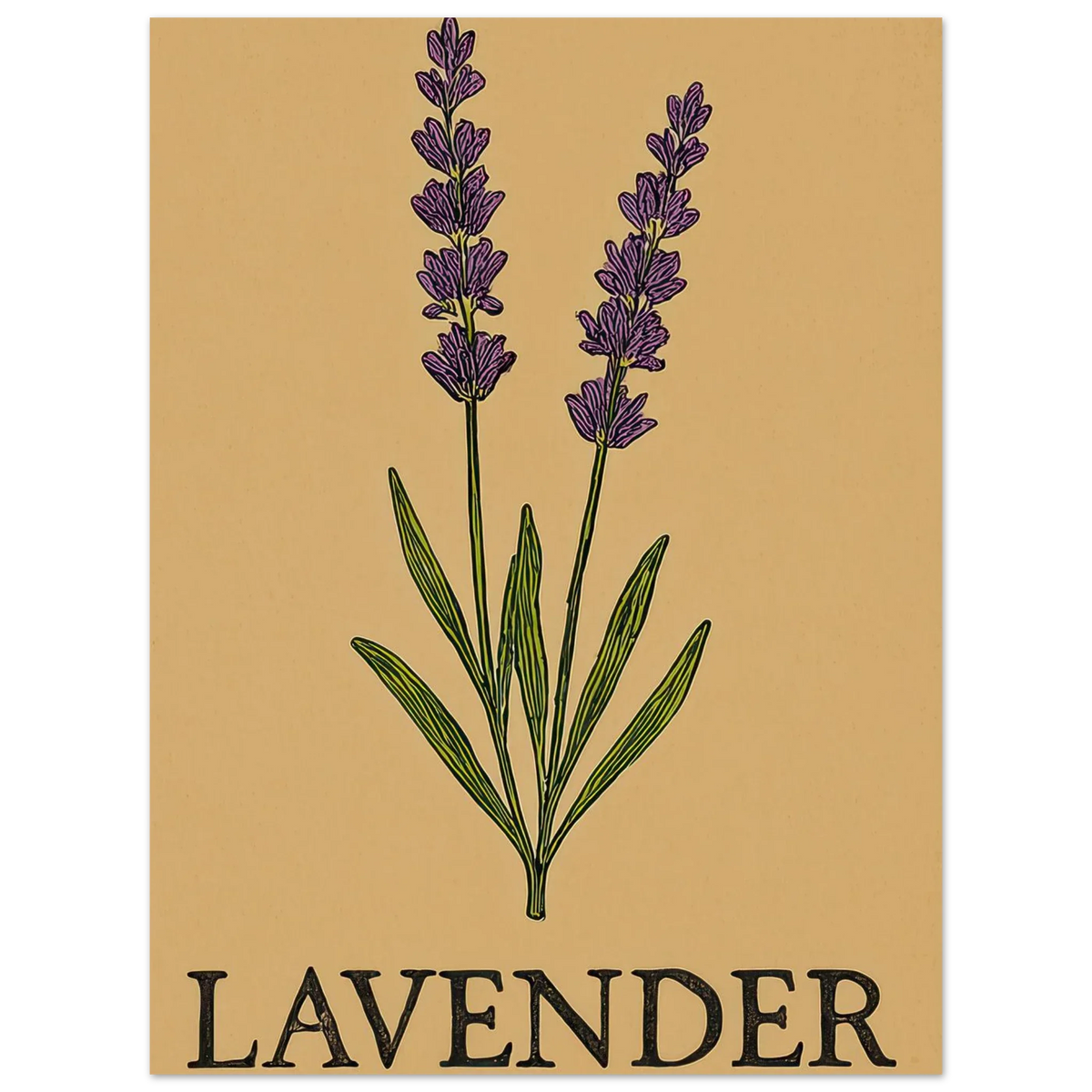 Frukter Lavendel Botanisk Illustration Affisch - Ljus & Livfull Väggkonst i Olika Storlekar