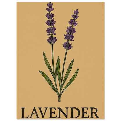 Frukter Lavendel Botanisk Illustration Affisch - Ljus & Livfull Väggkonst i Olika Storlekar