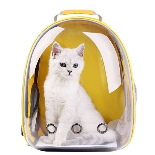 Kattbärryggsäck
