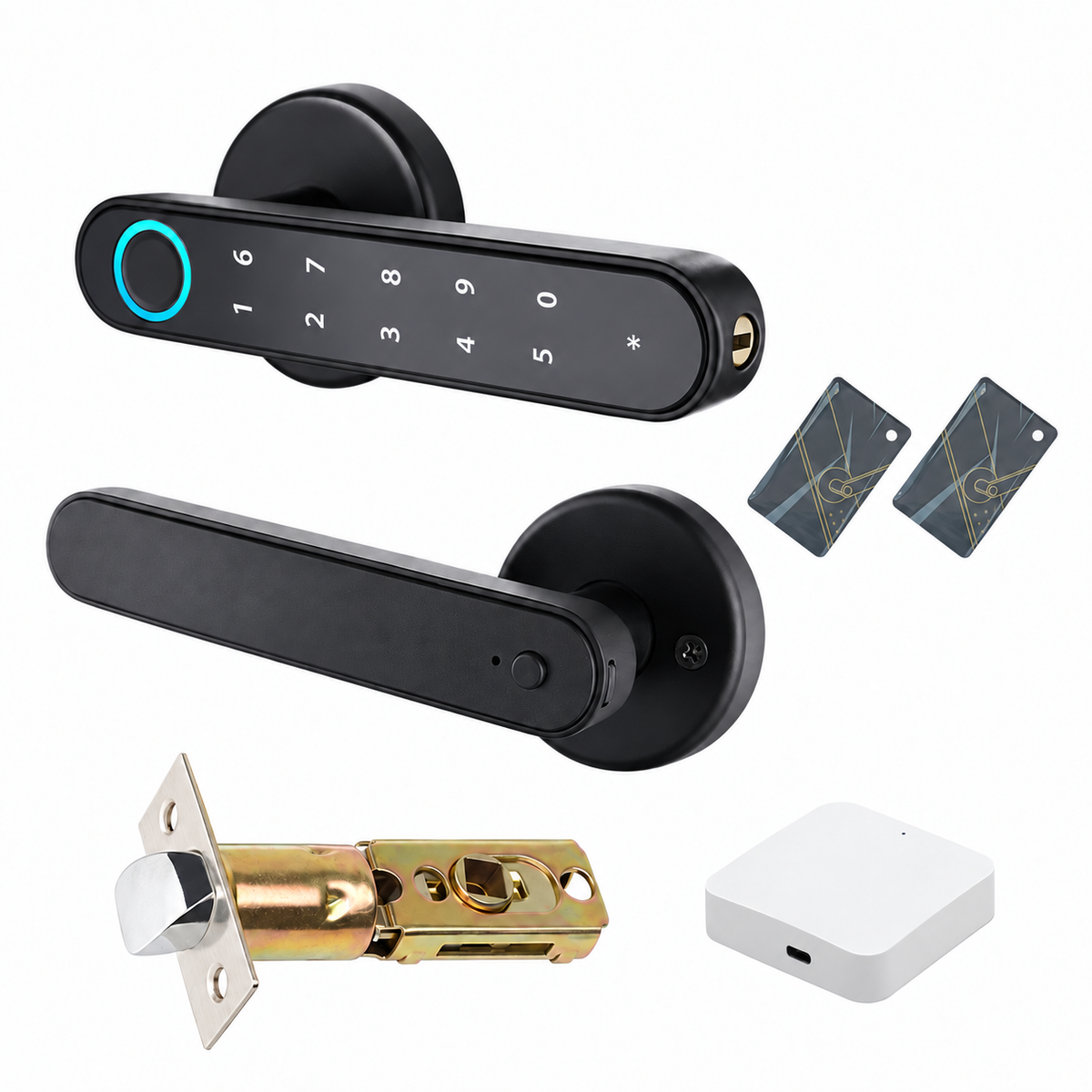 Fingerprint Lever Door Handle with Key Backup