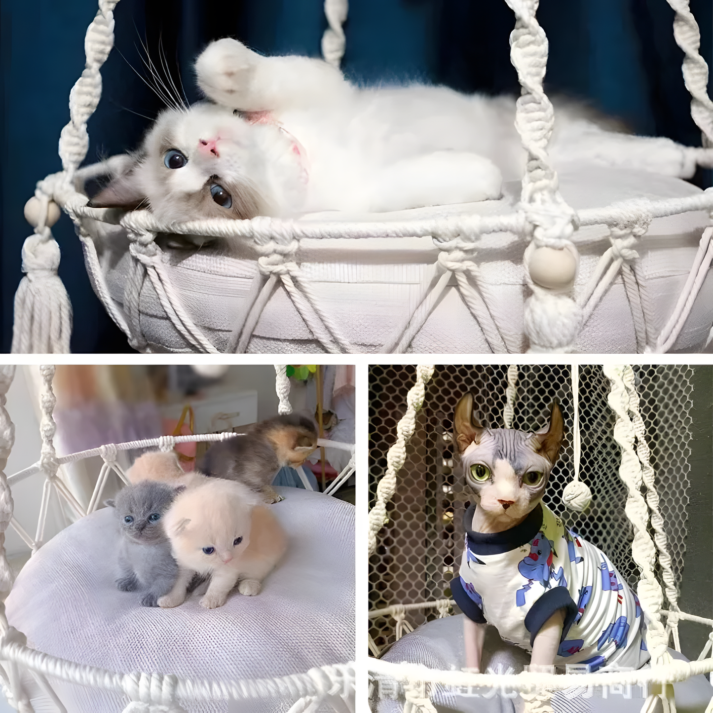 Hanging Cat Hammock