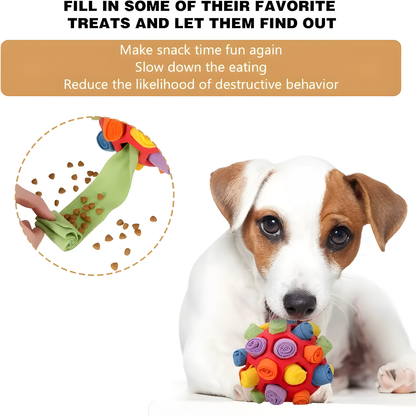 Treat-Hiding Dog Sniffing Ball