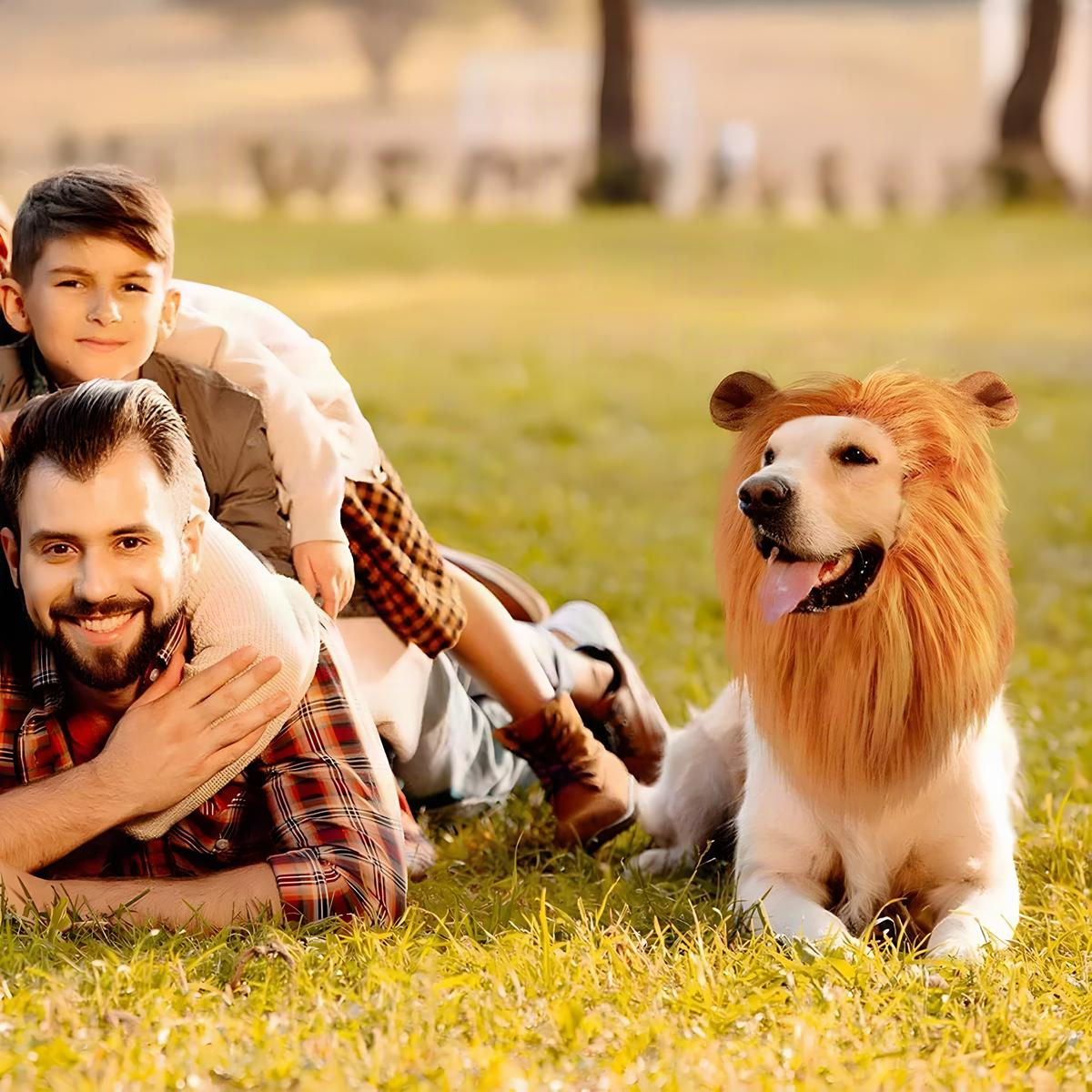 Dog Lion Mane Costume