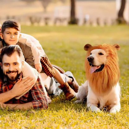 Dog Lion Mane Costume