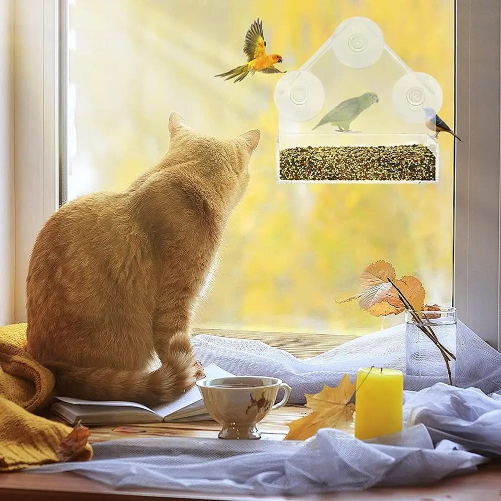 Window Acrylic Bird Feeder