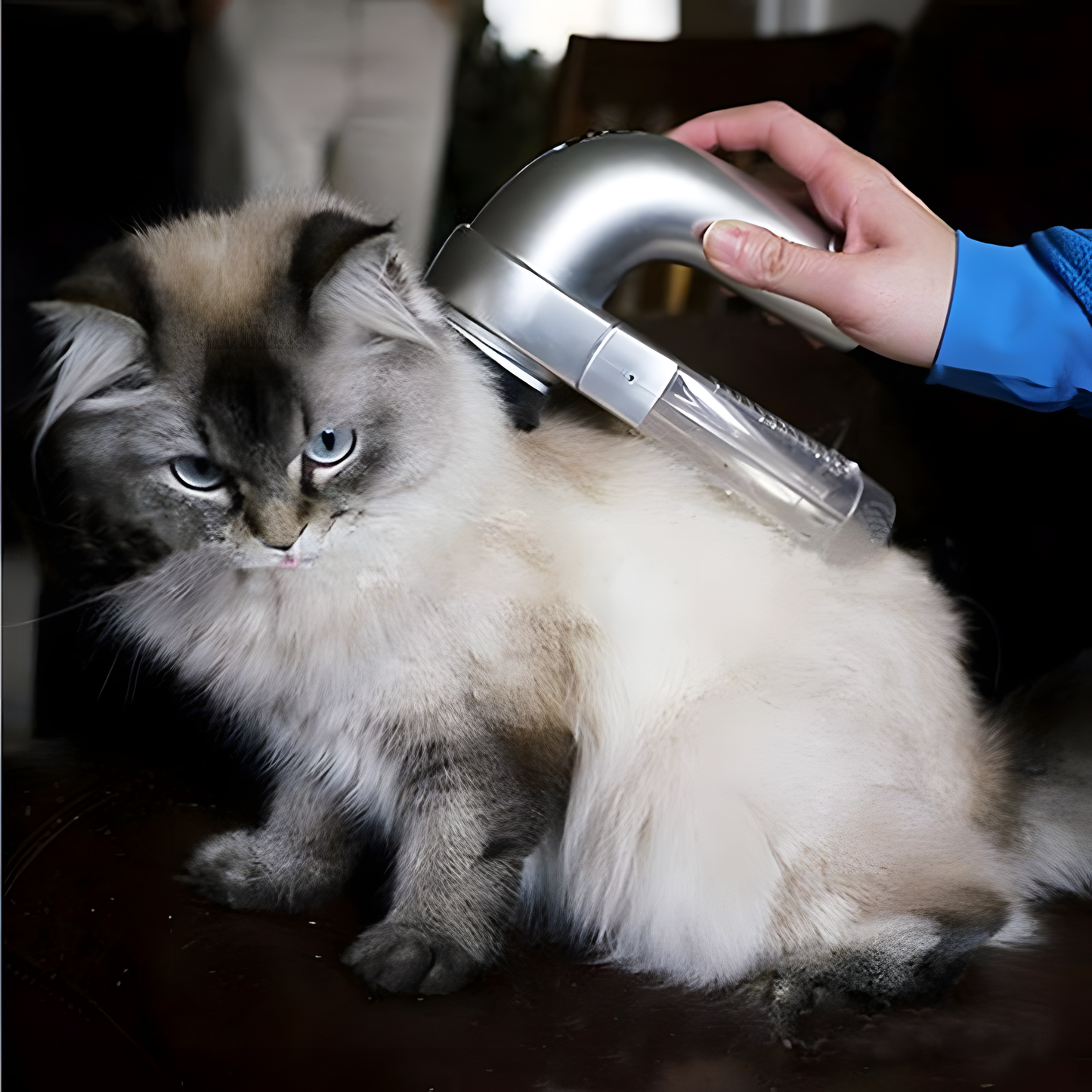 Electric Pet Hair Remover