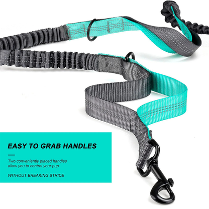 Dog Walking Waist Pack or Leash
