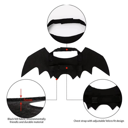 Pet Bat Wings