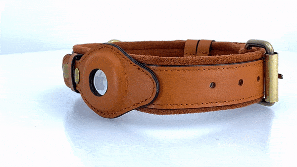 Läder AirTag Hundhalsband