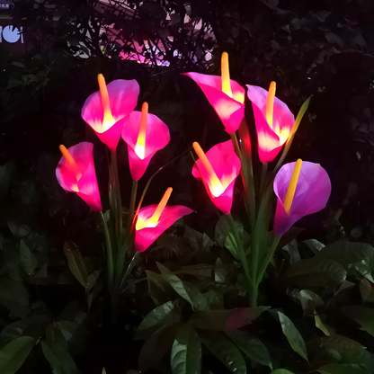 Solar Calla Lily Garden Light
