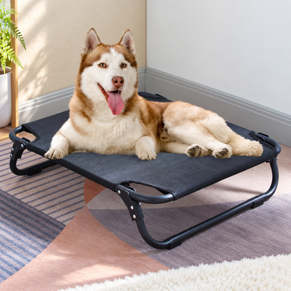 Folding Raised Dog Camp Bed